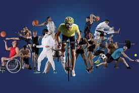 Logo Maison des Ligues